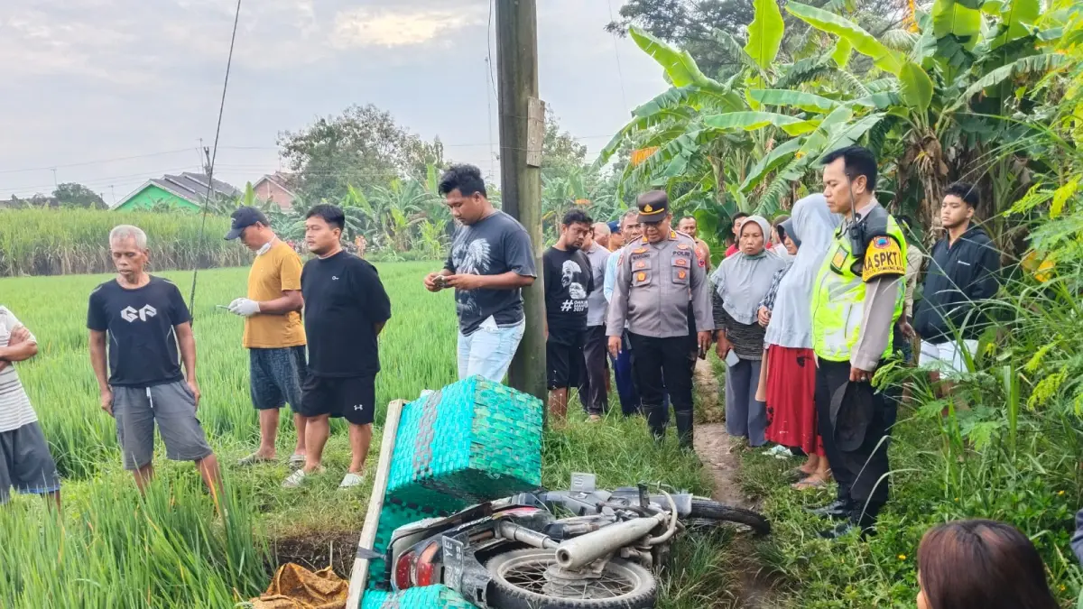 Seorang petani perempuan di Sambungmacan, Sragen, meninggal dunia setelah tersengat listrik jebakan tikus usai terjatuh dari sepeda motor di area persawahan. (AHMAD KAIRUDIN/SOLOBALAPAN.COM)