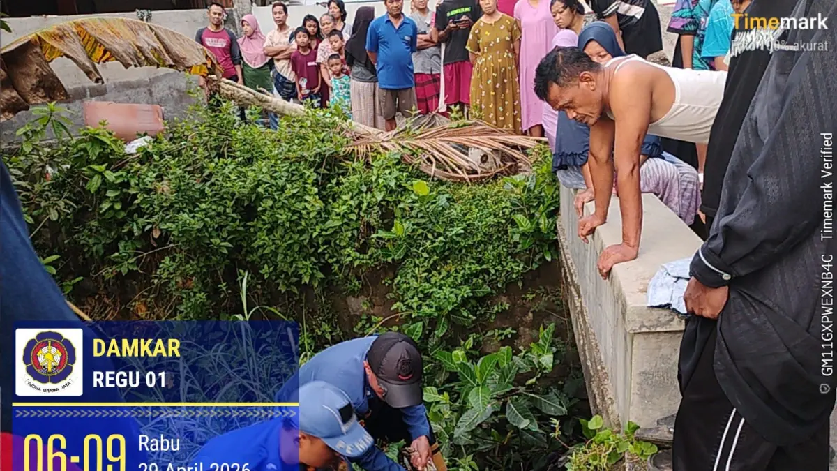 Petugas Damkar Satpol PP Boyolali evakuasi ular piton yang melilit ayam milik warga Godengan. (Dok. Damkar Boyolali)