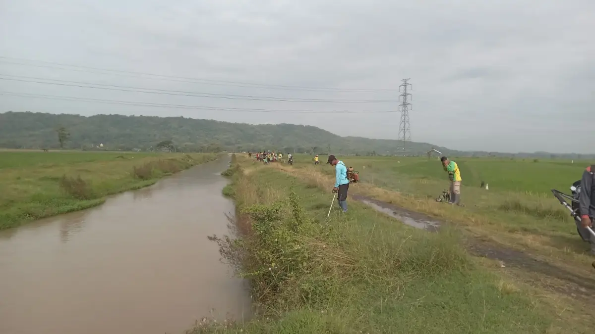 KEMARAU : Dampak El Nino ancam 6.516 hektare sawah di Sukoharjo. (IWAN KAWUL/SOLOBALAPAN.COM)