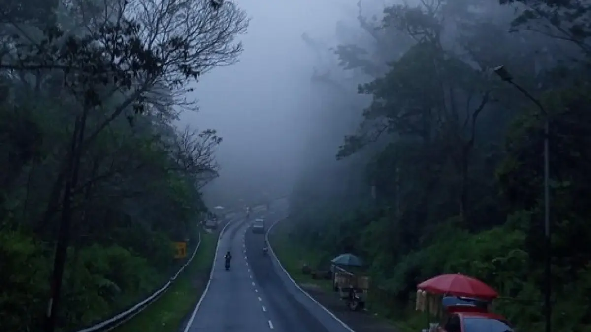 Potret Jalan di Tawangmangu dan Kabutnya (Pinterest.id/alvindaaa)