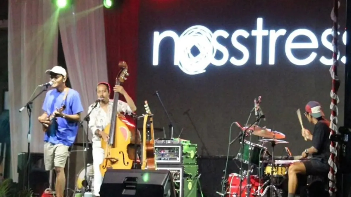 Potret Nosstres ketika Konser (Pinterest.id/Arisphotography)