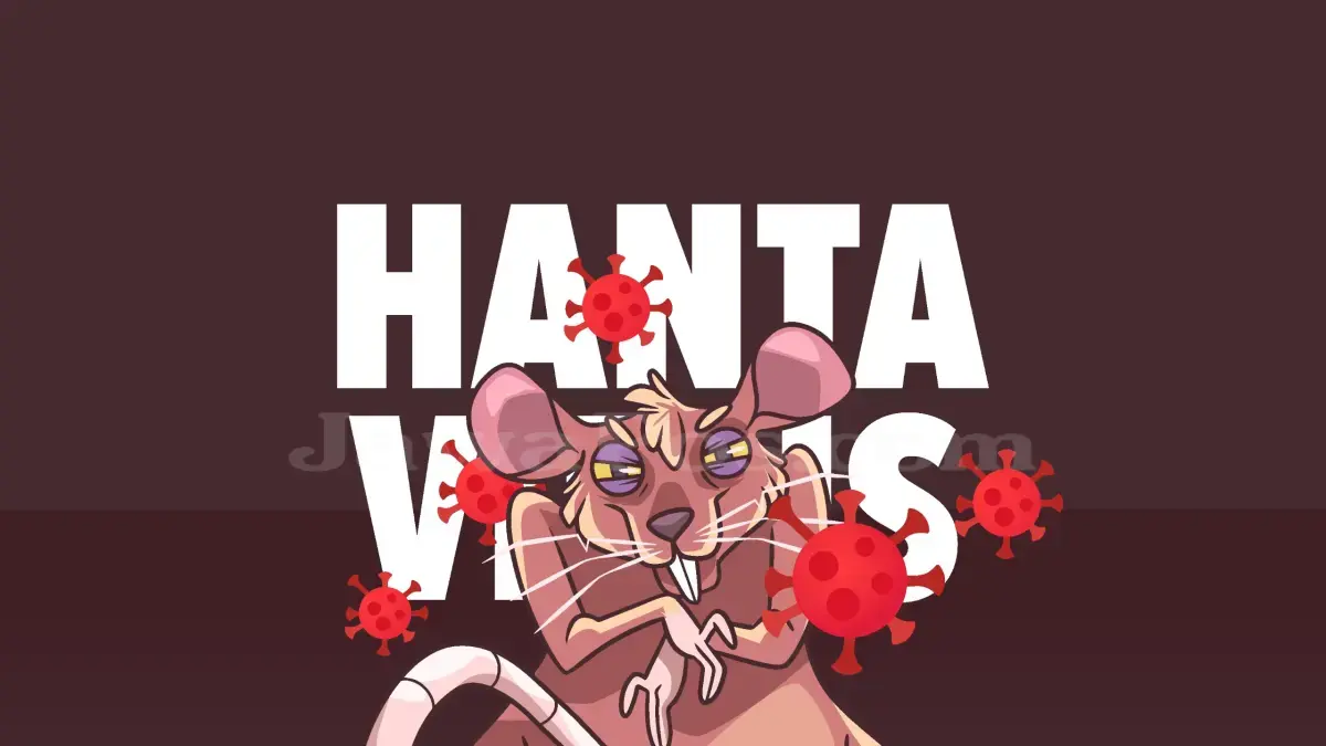 Ilustrasi Hantavirus.