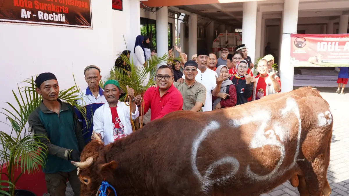 DPC PDI Perjuangan Solo salurkan 15 ekor sapi kurban dari Puan Maharani hingga Aria Bima. Disebar ke 5 PAC untuk warga yang membutuhkan. (Bram/Radar Solo)