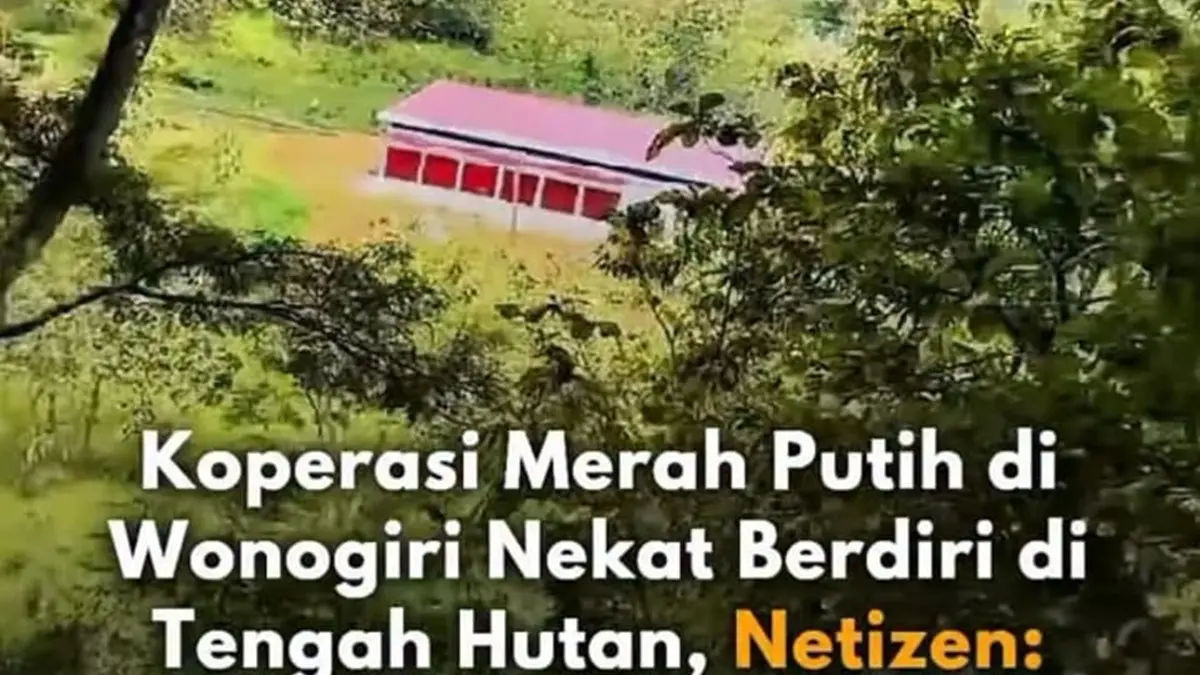 Viral di media sosial sebuah Koperasi Desa Merah Putih di Kecamatan Kismantoro, Wonogiri, disebut berdiri di tengah hutan. 