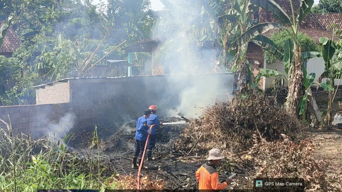 Lahan rumpun bambu seluas 6x12 meter di Desa Teras, Boyolali hangus terbakar Senin (22/6) siang. (Dok. Damkar Boyolali)