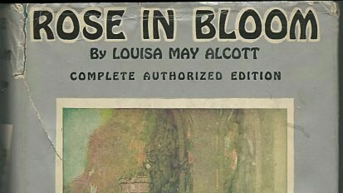 Buku Rose in Bloom karya Louisa May Alcott. Source: Pinterest 
