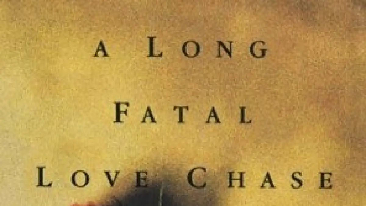 Cover buku A Long Fatal Love Chase karya Louisa May Alcott. Source: Pinterest 