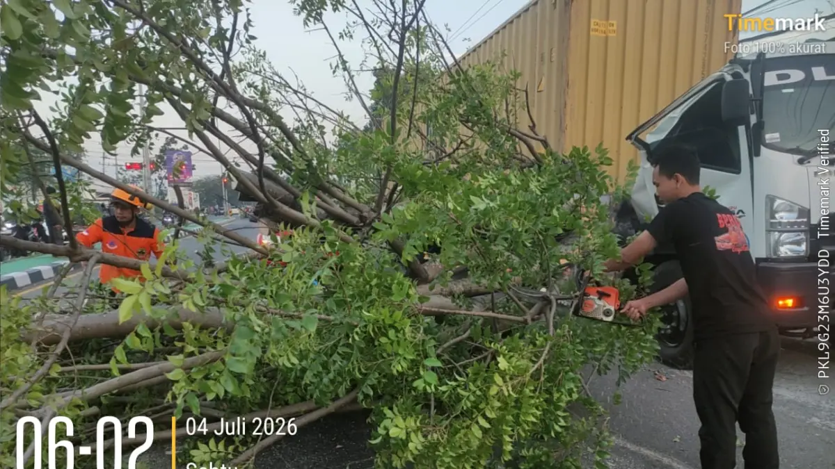 Pohon besar tumbang menimpa truk kontainer di Jalan Semarang-Solo KM 14, Banyudono, Boyolali, Sabtu (4/7/2026). (Ist)