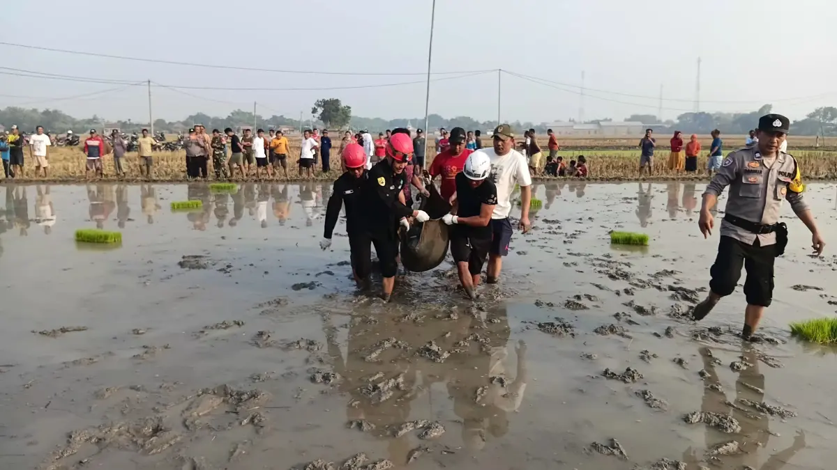 Tim gabungan TNI, Polri, relawan, dan medis saat melakukan evakuasi jenazah Paino Ripto Suwarno (63) dari area persawahan Dukuh Patihan, Desa Taraman, Sidoharjo, Sragen, Senin (6/7/2026) pagi. (ISTIMEWA)