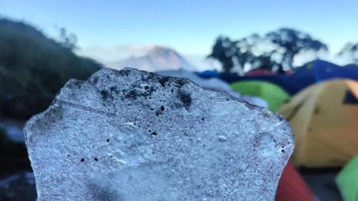 Suhu di lereng Gunung Merbabu mencapai minus 1 derajat mengakibatkan fenomena embus es di sejumlah titik. (Dok. BTNGMb)
