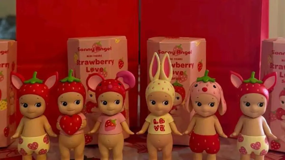 Koleksi sonny angel (Tiktok louvremma)