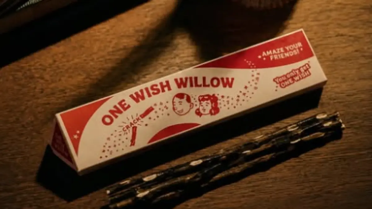 One Wish Willow. (instagram/@onewishwillow.in)