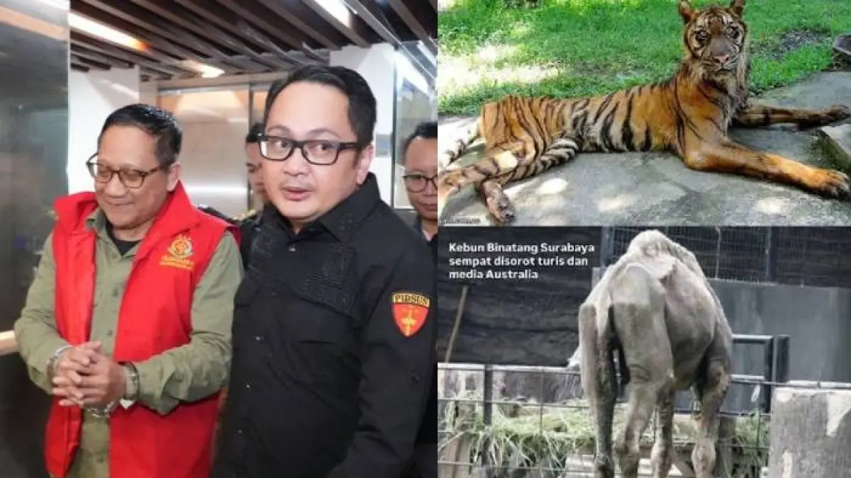 Eks Dirut Kebun Binatang Surabaya Jadi Tersangka Korupsi Rp10,2 Miliar.