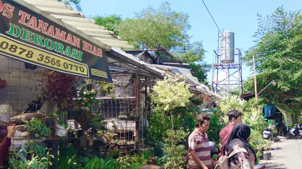 Sejumlah pembeli melihat koleksi tanaman hias di kawasan Pedaringan, Jebres, Surakarta, Kamis (23/7). Tanaman hias mudah dirawat menjadi pilihan banyak pembeli. (Rahma Azra Calista/solobalapan.com)