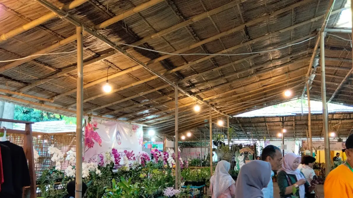 Pengunjung melihat koleksi anggrek dalam Solo Anggrek Festival 2026 di Loji Gandrung, Surakarta, Kamis (23/7/2026) (Rahma Azra Calista/Solobalapan.com)