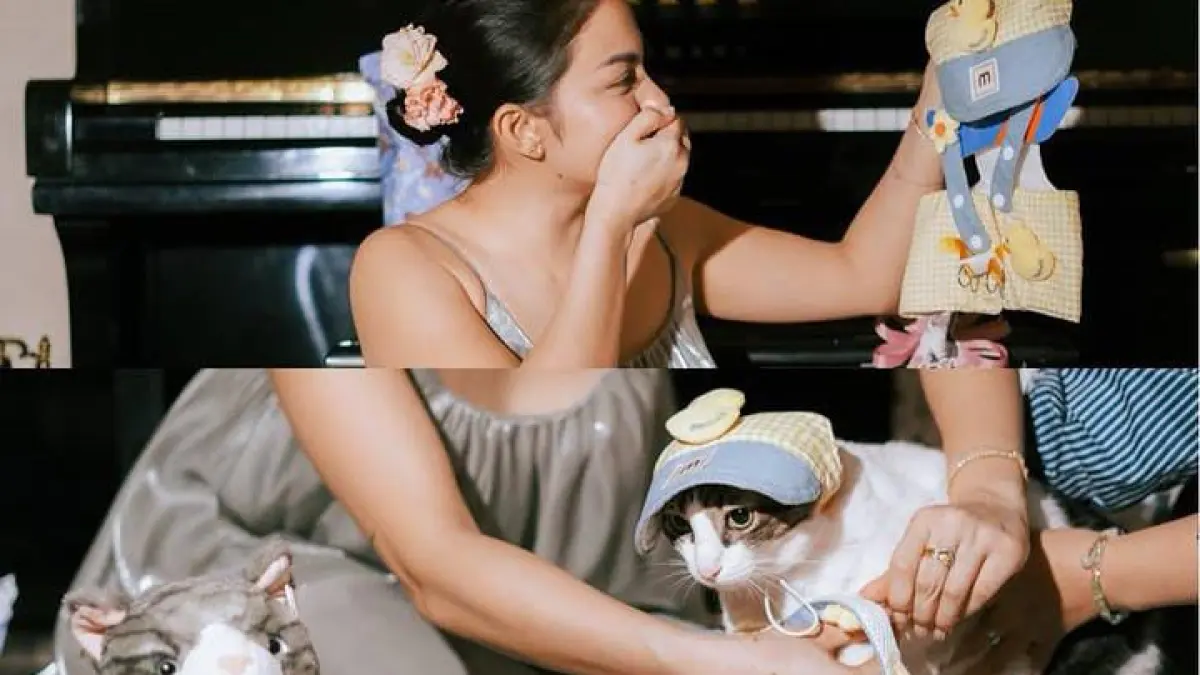 Ariel Tatum merayakan ulang tahun kucingnya. (Instagram arieltatum)