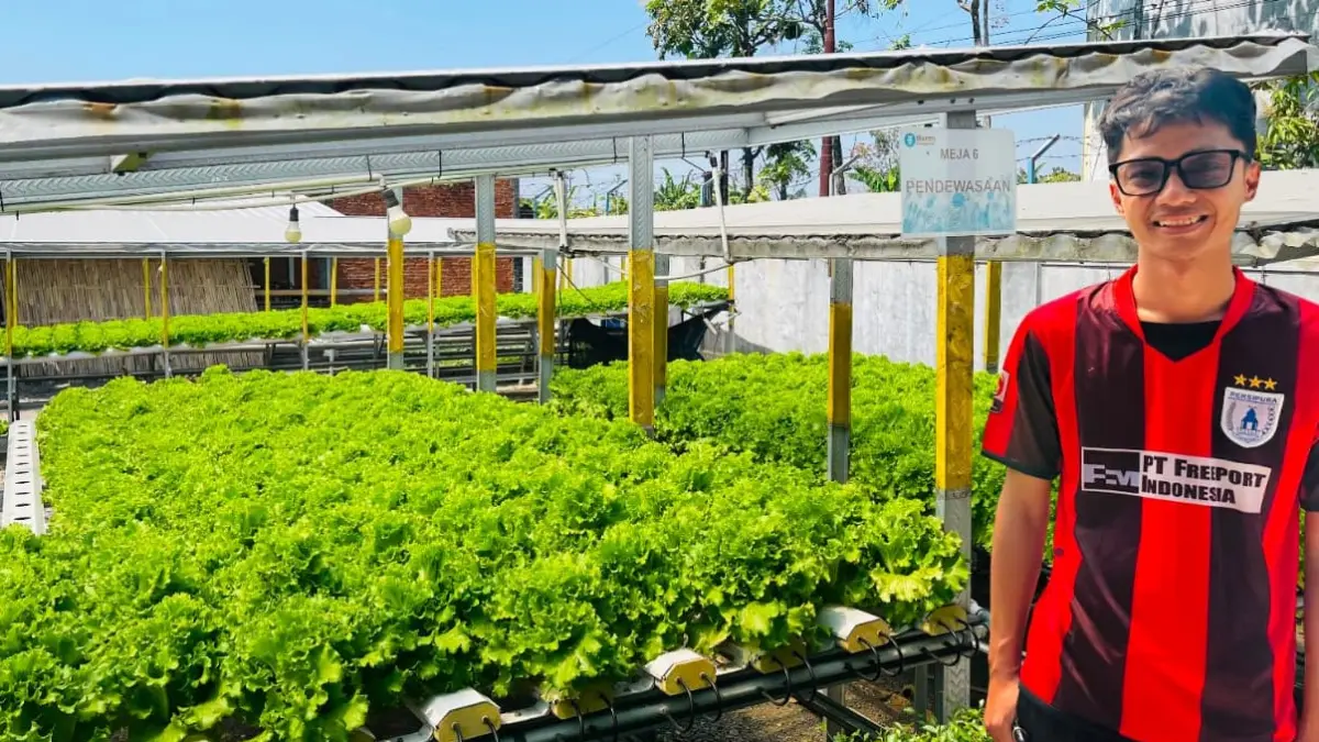 Pemilik Mantri Hidroponik, Agus Sukarno, menunjukkan area budidaya selada hidroponik di Kecamatan Baki, Sukoharjo, Senin (27/7/2026). Usaha hidroponik dinilai masih memiliki prospek meski penjualan mengalami naik turun. (Rahma Azra Calista/Solobalapan.com)