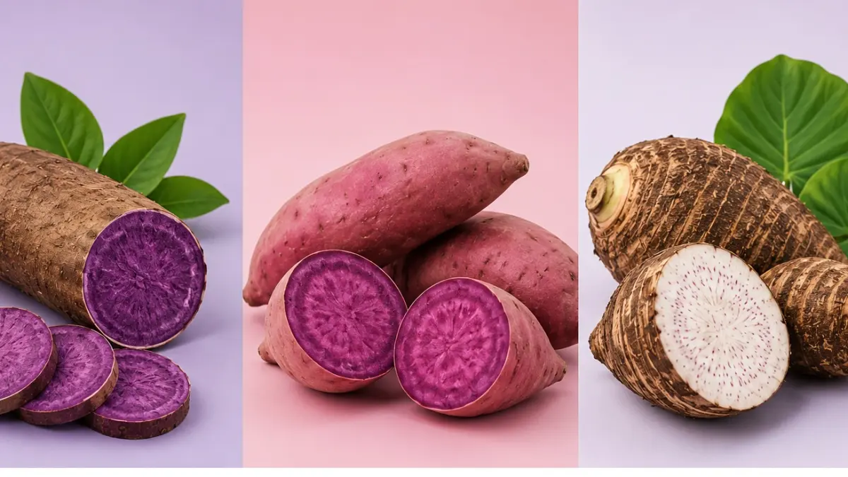 ilustrasi ube, ubi, dan taro. (AI Generated)