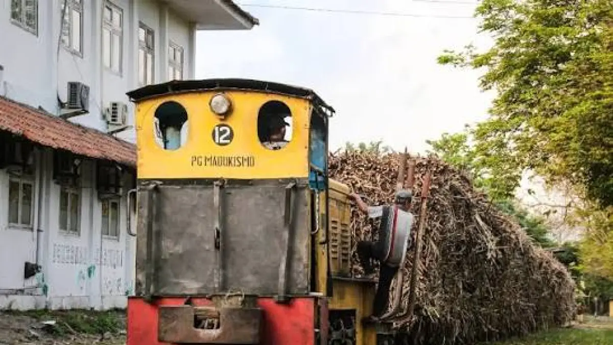 Montit merupakan lokomotif kecil yang digunakan untuk menarik lori pengangkut tebu di kawasan perkebunan dan pabrik gula. (Google)