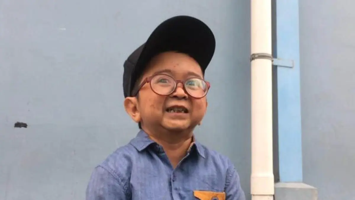 Daus Mini.