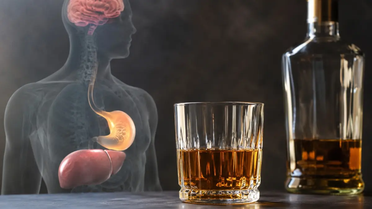 Ilustrasi efek konsumsi alkohol terhadap kesehatan tubuh. (AI Generated)