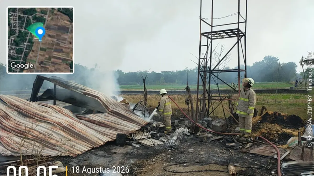 Kebakaran kandang ayam di Kismoyoso Ngemplak Boyolali picu kerugian Rp1 miliar. 15 ribu anak ayam mati.(Khofid/Radar Solo)