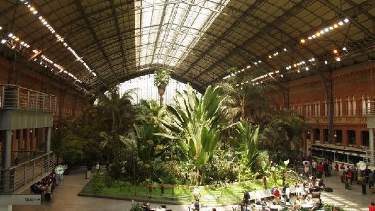 Di Madrid Atocha, bangunan stasiun lama justru menjadi rumah bagi ribuan tanaman tropis dan kolam kura-kura. Tempat transit pun terasa seperti masuk ke rumah kaca. (esmadrid.com)