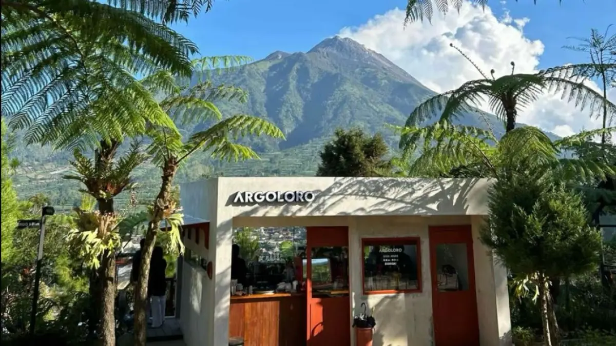 Argo Loro Kopi di Selo, Boyolali, dengan latar pemandangan Gunung Merapi dan Merbabu.(Tiktok/@papiloco1911)