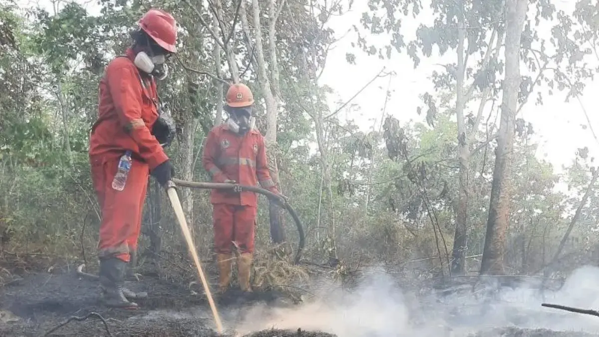 Petugas Badan Penanggulangan Bencana berusaha mematikan kobaran api kebakaran hutan dan lahan (karhutla) di wilayah Kalimantan. (Bakom RI/Antara)
