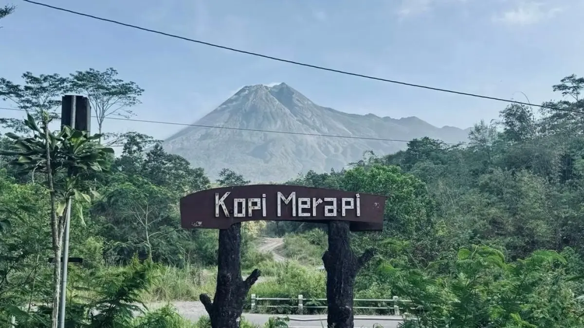 Kopi Alam Merapi berada di kawasan Kali Adem.(@adlfitrah_TikTok)