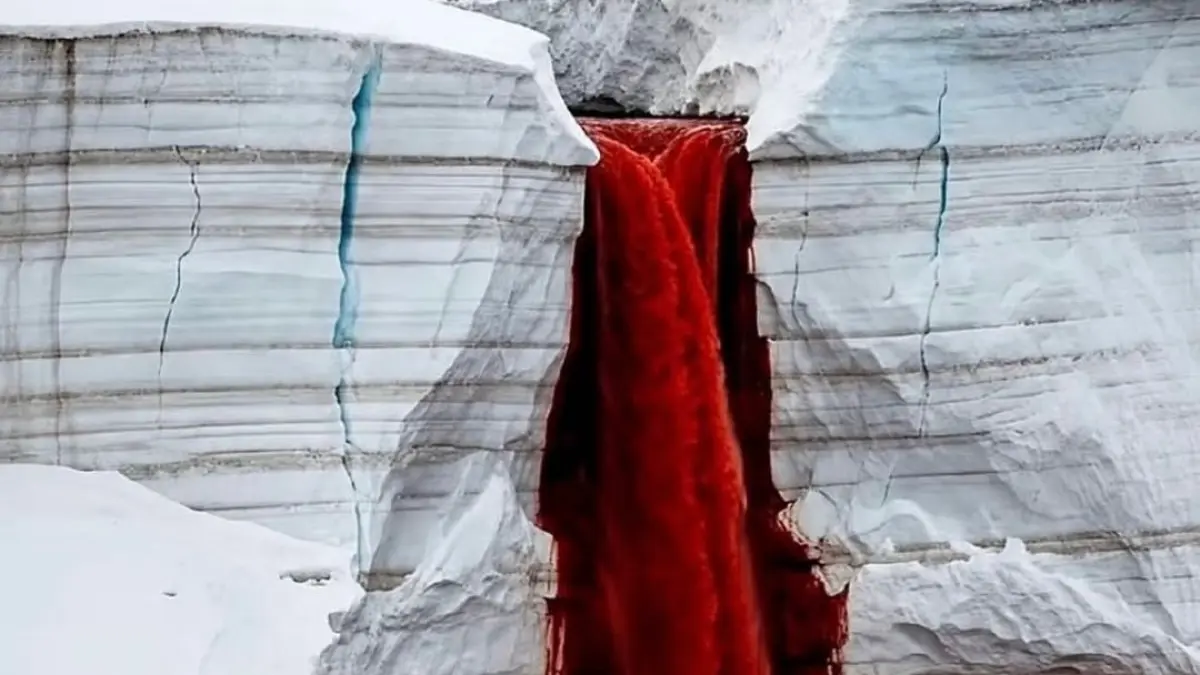 Blood Falls, Air Terjun Merah di Ujung Gletser Antarktika.(Instagram)