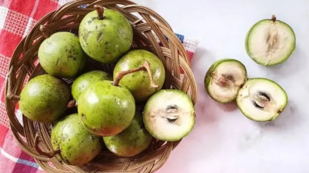 Buah kenitu atau apel plotot yang dikenal dengan beragam nama di sejumlah daerah.(Fimela.com)