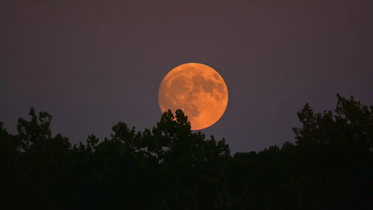 Fenomena Harvest Moon akan mencapai puncak purnamanya pada 26 September 2026 pukul 23.49 WIB. 
