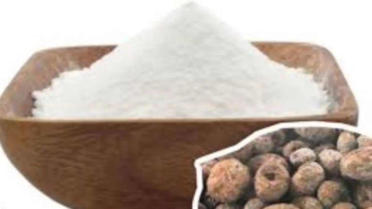 Suweg dapat diolah menjadi tepung dan digunakan sebagai bahan cookies serta brownies.(Mbizmarket)