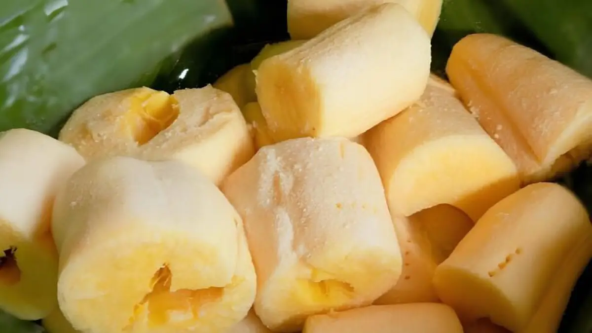 Tape singkong dengan rasa manis dan aroma khas hasil fermentasi.(Radar Malioboro)