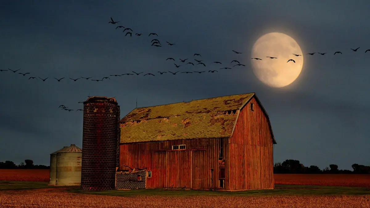Harvest Moon akan menghiasi langit pada 26 September 2026 dan tampak berdekatan dengan Saturnus. (NASA)