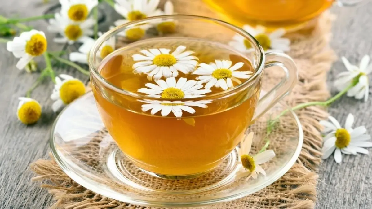 Penelitian ungkap berbagai manfaat teh chamomile.