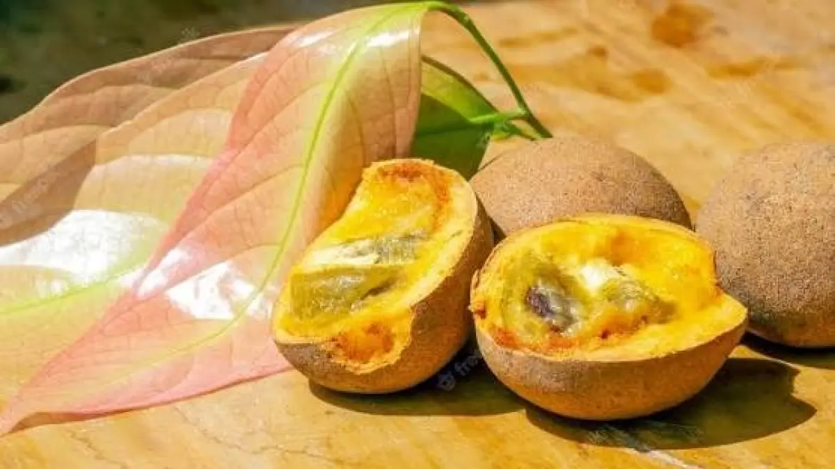 Buah Kepel dan Dan keunikan daunnya ( Sumber : DINAS KEBUDAYAAN DAERAH ISTIMEWA YOGYAKARTA)