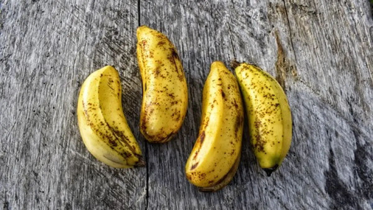 Pisang yang kulitnya mulai menghitam akibat proses pematangan.(Beautynesia)