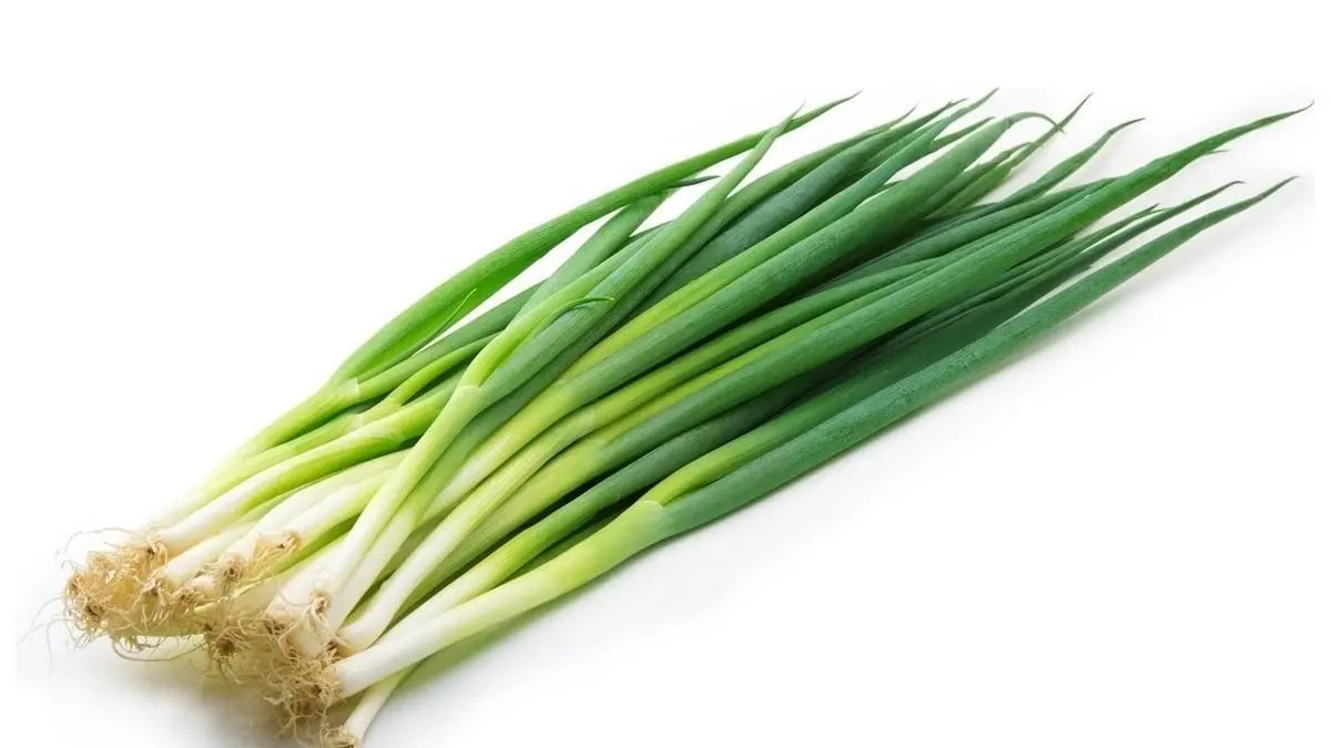 Daun bawang perlu trik menyimpan agar tidak cepat layu dan membusuk di rumah.