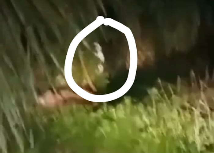 SCREENSHOT: Tangkapan layar video viral pocong di wilayah Lasem, Rembang.
