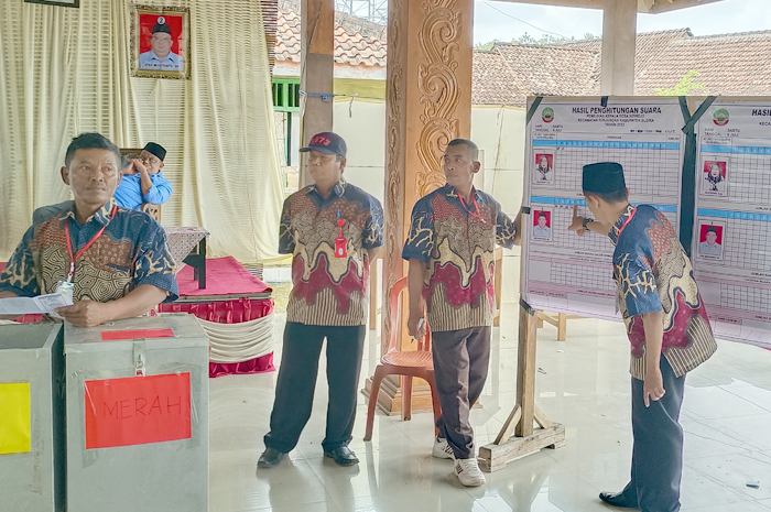 CERMAT: Panitia Pilkades Sitirejo, Tunjungan, memeriksa hasil sementara saat perhitungan suara masih berlangsung.