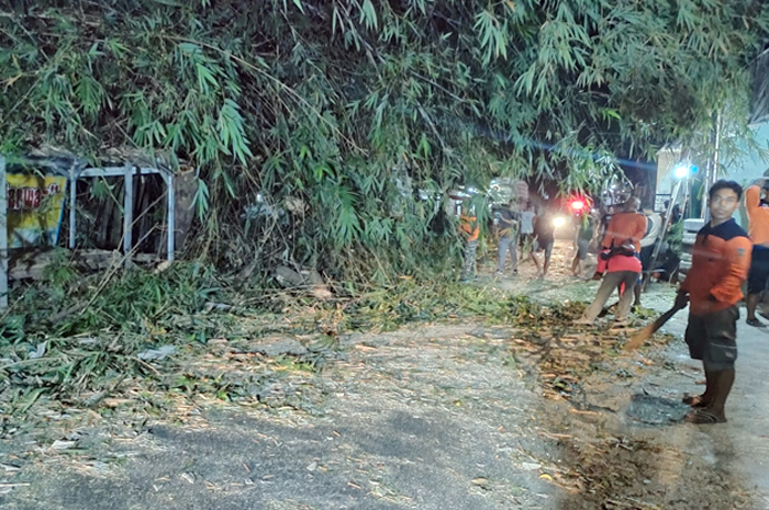 MENGAGETKAN: BPBD Kudus mengevakuasi pohon tumbang yang menimpa warung kopi di Desa Karangmalang.