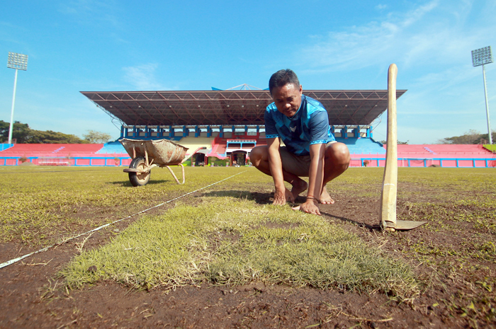 DIKEBUT: Petugas perawatan menanam rumput baru di atas lapangan Stadion GBK Jepara dalam rangka recovery lapangan kemarin.
