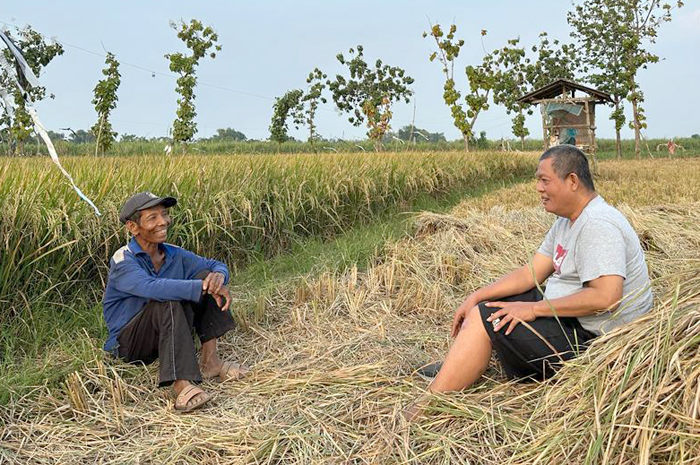 MENYERAP KELUHAN: Politisi Partai Demokrat Amal Ghozali mendengarkan aspirasi warga Pati dengan mendatangi para petani.