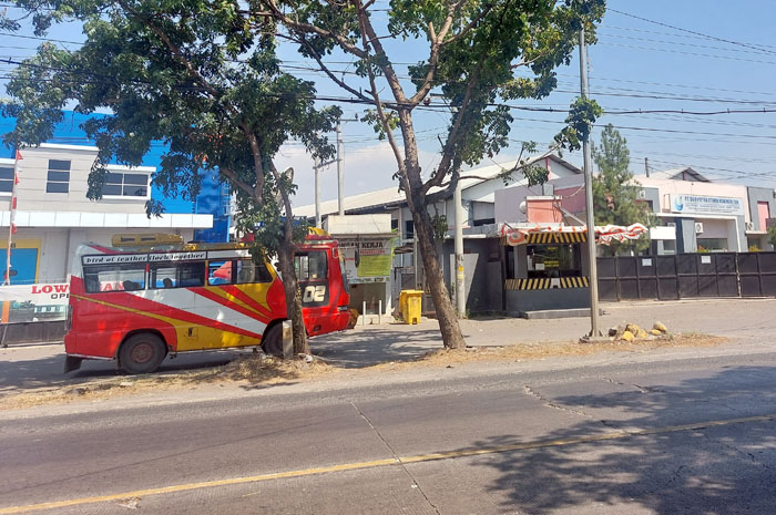 POLUSI: Suasana satu pabrik ikan yang diduga menimbulkan bau tak sedap di wilayah Kecamatan Juwana kemarin.