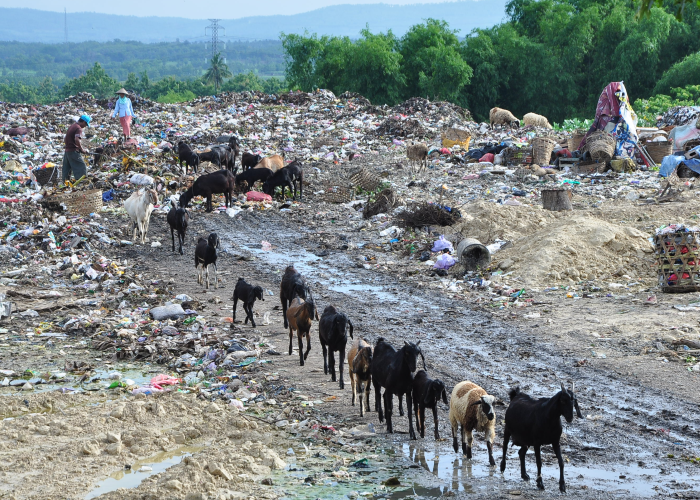 BERSOLEK: Tempat Pembuangan Akhir (TPA) di Desa Landoh, Kecamatan Sulang bakal bersolek pada awal 2024 mendatang.