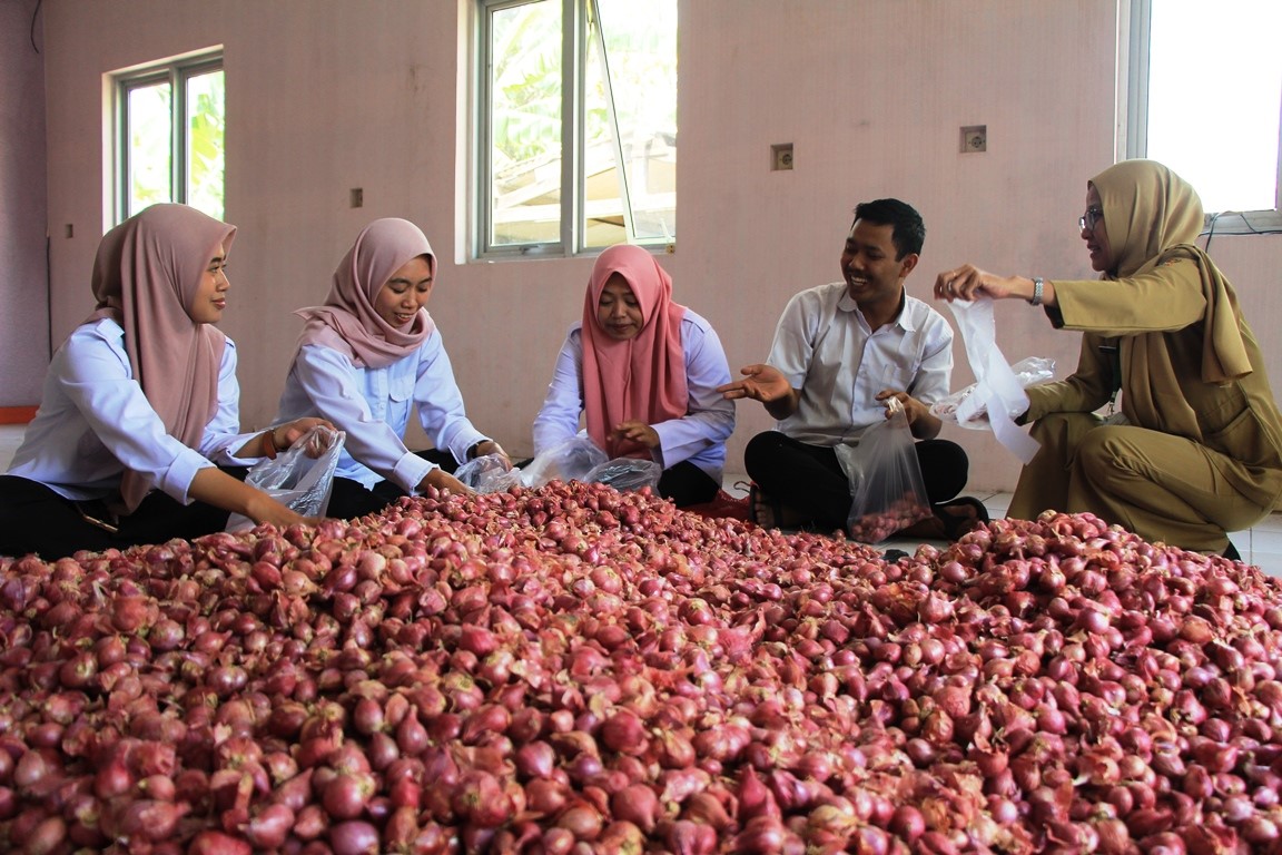 NGLARISI: Karyawan dan karyawati Dintanpan Rembang mengemas bawang merah yang siap dibeli ASN Pemkab Rembang pada Senin (5/9).