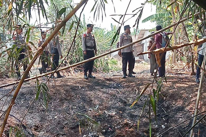 HANGUS: Kebun milik warga Desa Mambak, Pakis Aji terbakar setelah seorang lansia hendak membakar sampah.