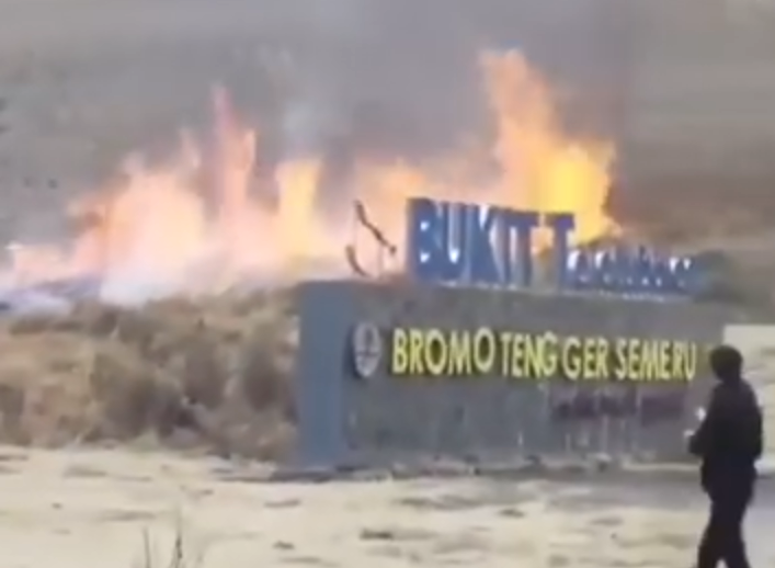 Bukit Teletubbies Gunung Bromo